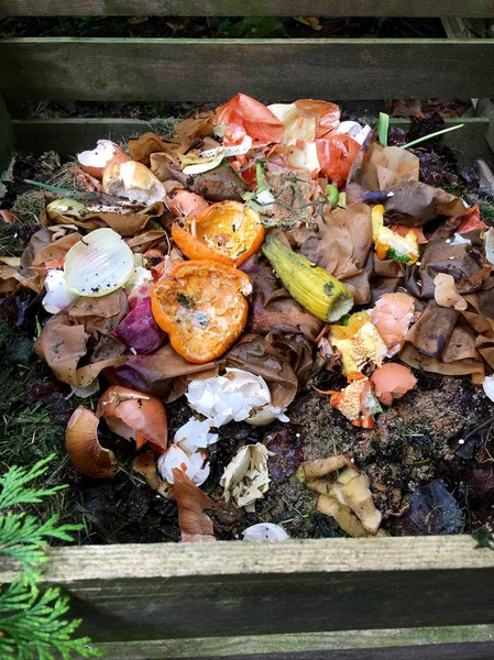 Fresh bio waste and compost with orange peels