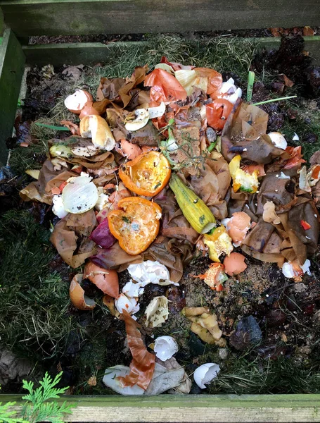 Fresh bio waste and compost with orange peels