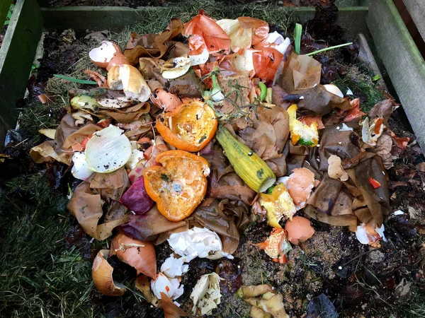 Friss bio-hulladék és a komposzt, narancshéj Jogdíjmentes Stock Képek