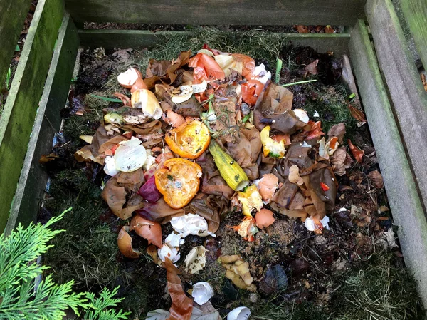 Fresh bio waste and compost with orange peels