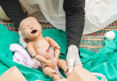 Doğum yardımcı yeniler eğitim 