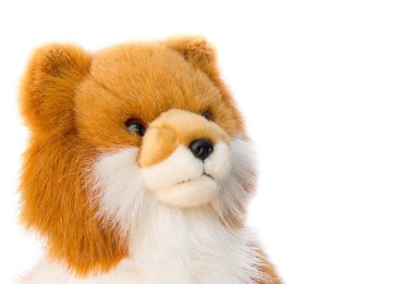 Beyaz arka plan üzerinde bebek köpek