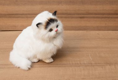 ahşap arka plan üzerinde bebek beyaz kedi