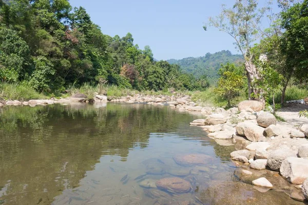 Paisagens, A bela natureza do rio ar fresco, Corrente de montanha , — Fotografia de Stock