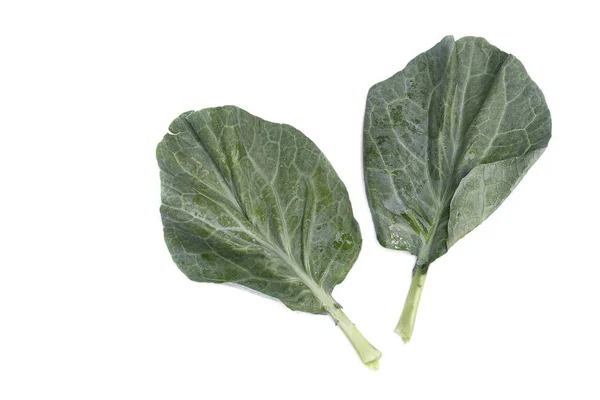 Kale Cina sayuran segar, meninggalkan brokoli Cina dan tetesan air. pada latar belakang putih — Stok Foto