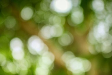 Bokeh doğal renk arka plan