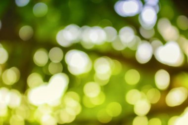 Bokeh doğal renk arka plan. 