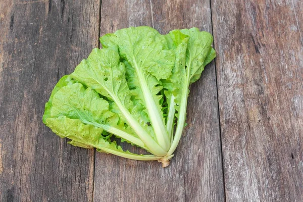 Chinese cabbage organic vegetables on a wooden table — Stock Photo, Image