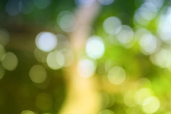 Bokeh doğal renk arka plan