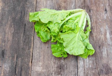 Çin lahanası organik sebze ahşap bir masa üzerinde