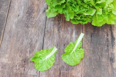 Çin lahanası organik sebze ahşap bir masa üzerinde