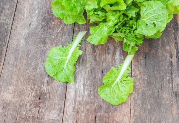 chinese cabbage organic vegetables on a wooden table