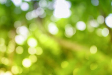 Bokeh doğal renk arka plan. Renk sıcak filtre yaprak 