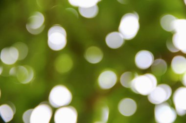 Bokeh doğal renkli arka planı ağacının sıcak filtre yaprak