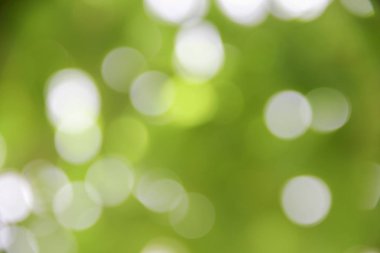 Bokeh doğal renkli arka planı ağacının sıcak filtre yaprak 