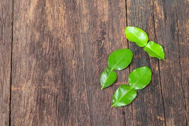 Güney Afrika'da bir kabile kireç yaprakları ahşap zemin arka plan üst polisle görüntülemek