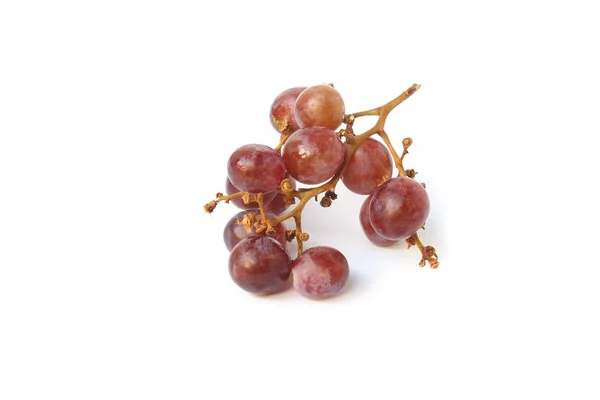 Виноград красный свежий на белом фоне — стоковое фото