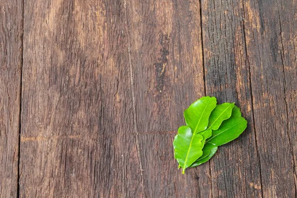 Kaffir lime leaves on wooden floor background — стоковое фото