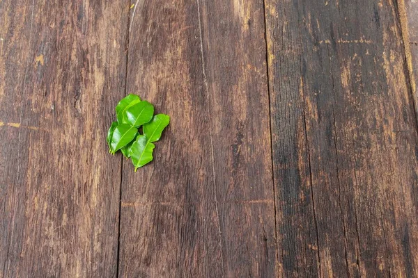 Καφρός ασβέστη φύλλα σε ξύλινο πάτωμα φόντο — Φωτογραφία Αρχείου