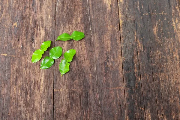Каффір листя лайма на дерев'яному фоні підлоги — стокове фото