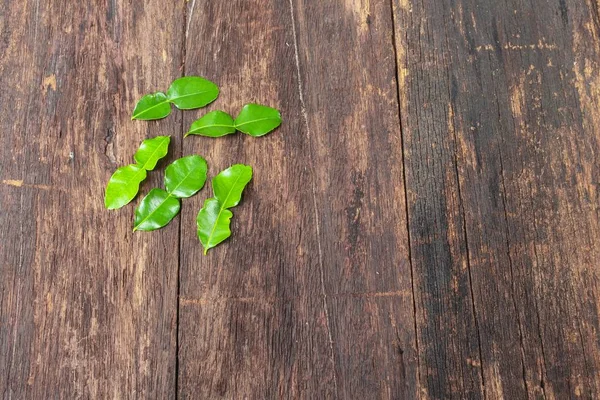 Kaffir lime leaves on wooden floor background — стоковое фото