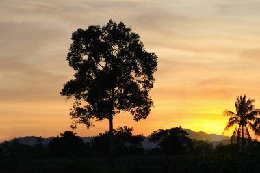 gökyüzü günbatımı bulut renkli siluet hareket t ile güzel