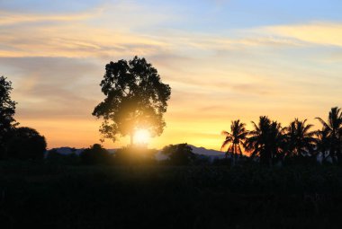 gökyüzü günbatımı bulut renkli siluet hareket t ile güzel