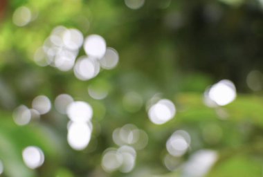 Bokeh doğal renk sıcak arka plan. Ağacının yaprak filtre fr