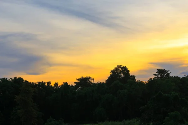 Πολύχρωμο ηλιοβασίλεμα και δασικές εκτάσεις σιλουέτα, Λυκόφως στη φύση — Φωτογραφία Αρχείου