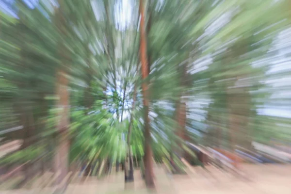 나무의 녹색 배경, 속도 렌즈 확대/축소 효과 흐리게 — 스톡 사진