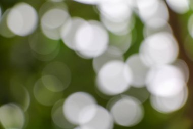 Bokeh doğal renk sıcak arka plan kopya alanı ile.