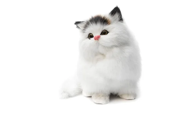 Χαριτωμένο Κούκλα Γάτα Όμορφο Άσπρο Φόντο Αντίγραφο Χώρο Για Προσθέσετε — Φωτογραφία Αρχείου