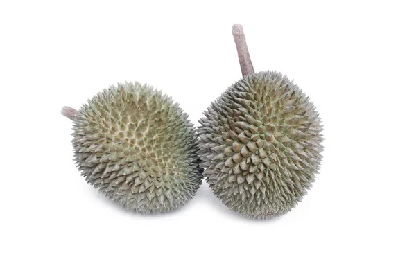 Durian Met Shell Koning Van Vruchten Witte Achtergrond — Stockfoto