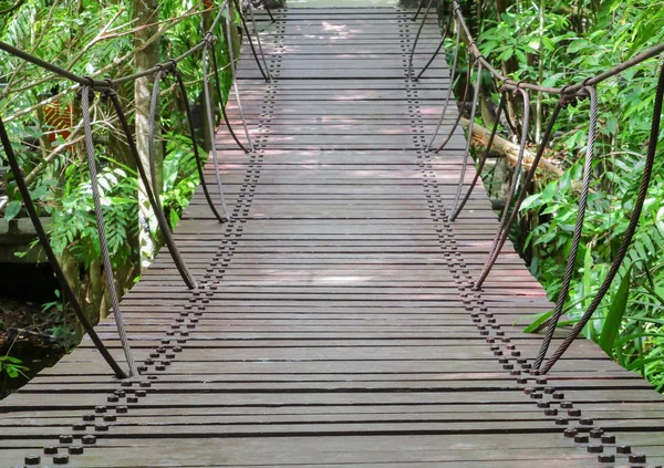 Passarela de ponte de madeira de suspensão na floresta — Fotografia de Stock