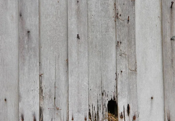 Textura de madeira velho belo padrão para fundo — Fotografia de Stock