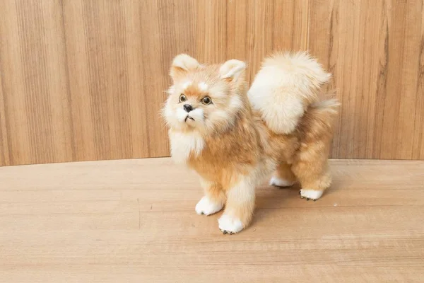 Doll dog  toy cute beautiful on wooden floor background — Stock Photo, Image