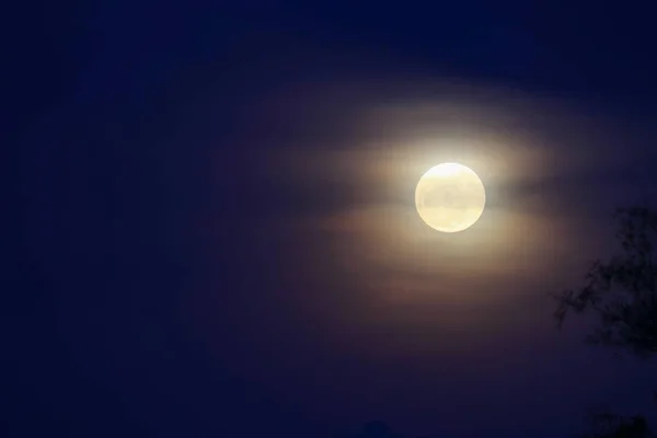 Lua cheia bonita sobre o céu escuro em ter sombra de árvore à noite — Fotografia de Stock