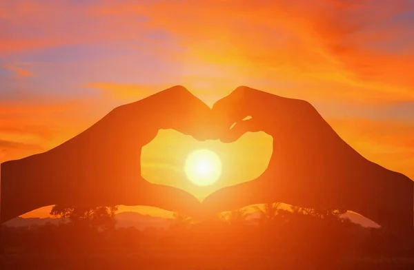 Hand Forming Silhouette Heart Shape Sunset Light — Stock Photo, Image