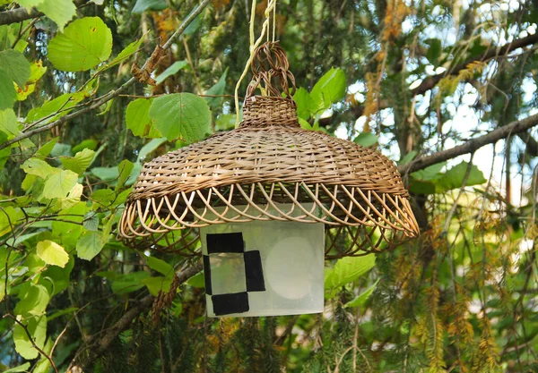 Homemade Feeder Birds Hanging Branch Tree — Stock Photo, Image