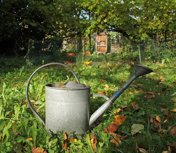 Regar Lata Metal Jardim Outono — Fotografia de Stock