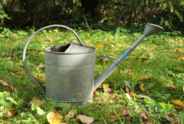 Metal Watering Can Garden Autumn — Stock Photo, Image