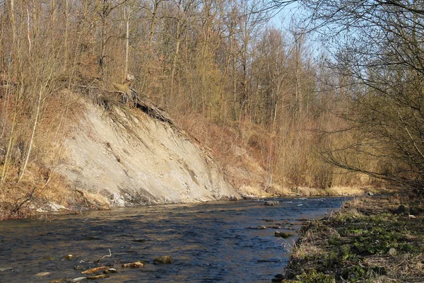 Річка Моравка Природному Руслі Річки Початку Весни Чехія — стокове фото