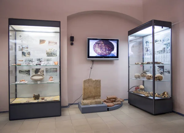 Azov Rússia Julho 2019 Fragmento Exposição Museu Histórico Arqueológico Paleontológico — Fotografia de Stock