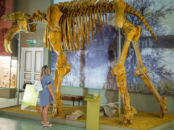 Dinoterias Skelett Utställning Azovs Paleontologiska Museum — Stockfoto