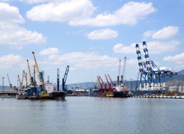 Novorossiysk, Russia - August 01, 2019: Berths of the Novorossiysk port equipped with port cranes