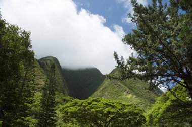 West Maui Dağları yükselişi bulutları içine