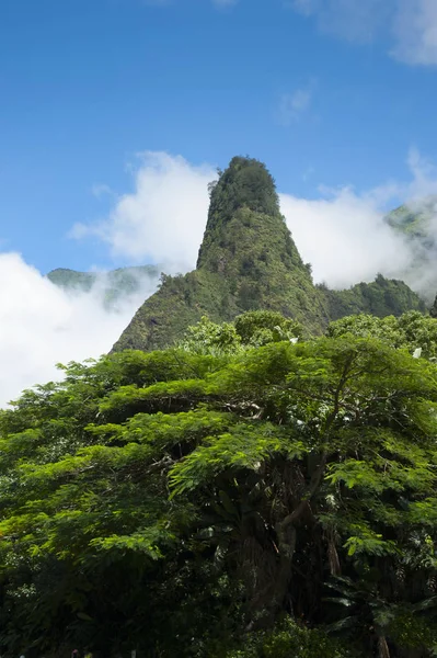 Ago Valle Iao a Maui — Foto Stock