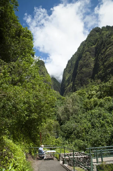 Dipingere la valle di Iao nelle montagne del Maui occidentale — Foto Stock