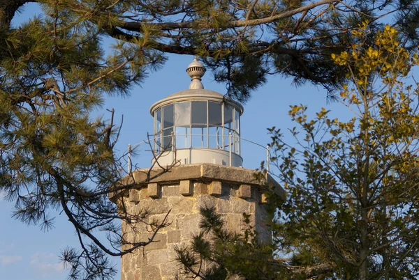 Taş deniz feneri çam ağaçlarıyla çevrili kule
