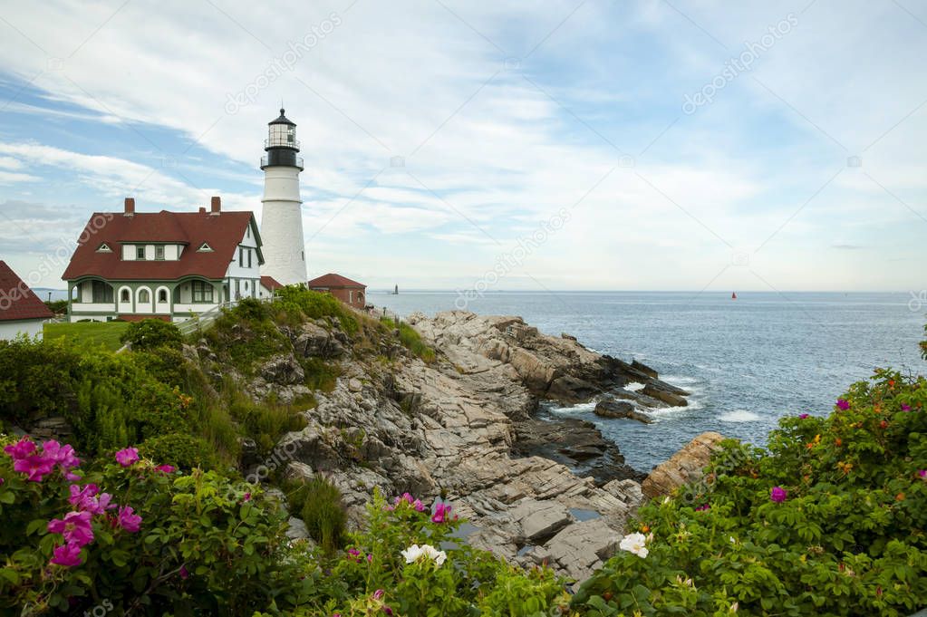Portland Head Lighthouse Surrounded by Beach Roses in Maine